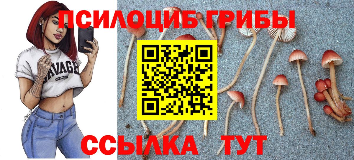 Псилоцибиновые грибы MAGIC MUSHROOMS  Псилоцибиновые грибы мицелий  Вход с VPN  Новоалтайск 