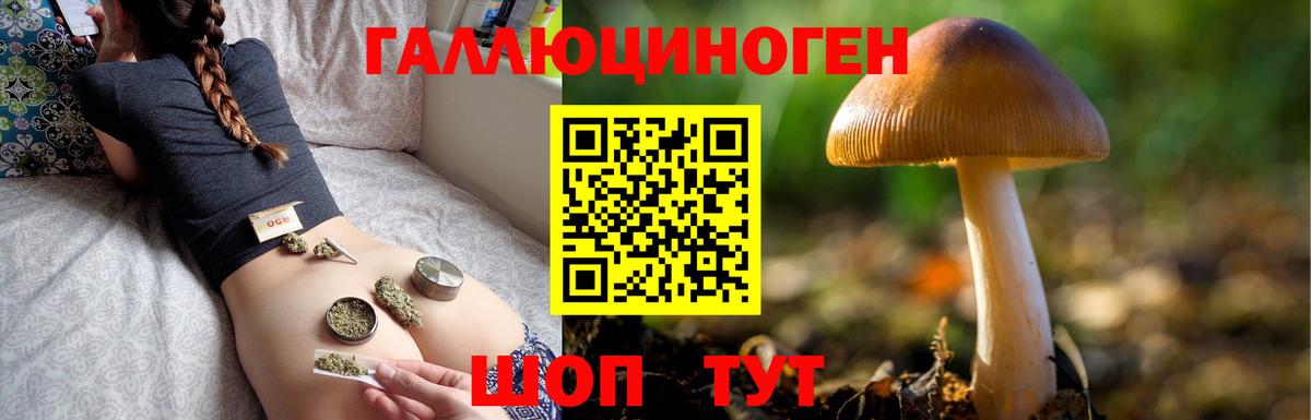 Галлюциногенные грибы ЛСД Новоалтайск